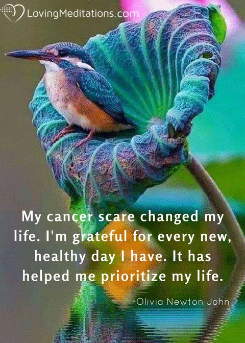 LovingMeditator's tweet photo. #cancer #pain #caregivers #health #lovingmeditations #stress #wellness #nowtrending #trendingnow #toptrending #newongoogle #tamaragreen https://t.co/9DenXHFM7k