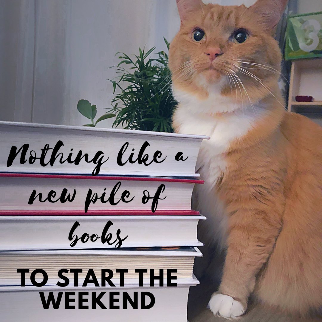 OfTwinsAndBooks's tweet image. Am I right? #readingweekend