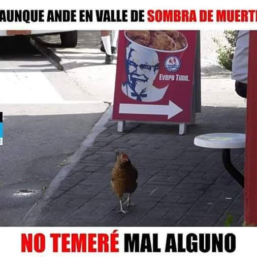 JahdielJs's tweet image. 