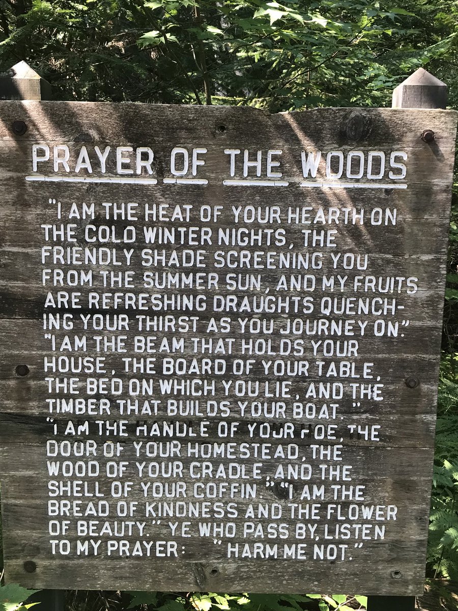 y28d28's tweet photo. #beautifulforests https://t.co/qo4vB2cba9