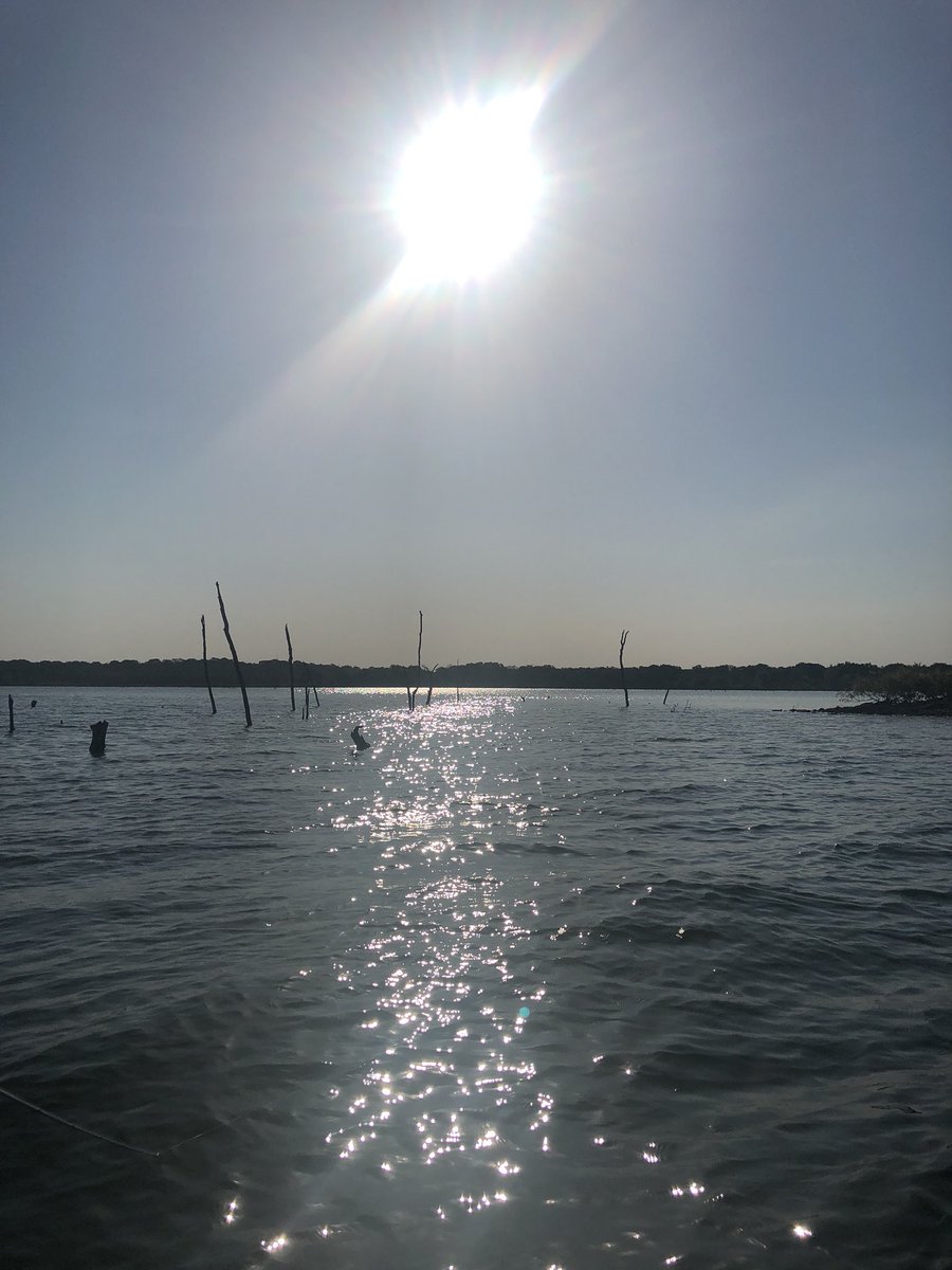 netgenius's tweet image. Welcome to my Saturday morning @TeamBassManager ☕️✌🏼 #rayroberts #saturdaymorning #mobile #apps #bassfishing #fishing #bass #fishon #startups