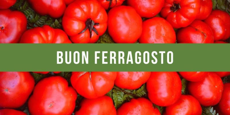 Do you have any plans with your ..... tomatoes? #bestoliveoil #Italy'sFinestOliveOil #promocode conta.cc/2MOJgJl