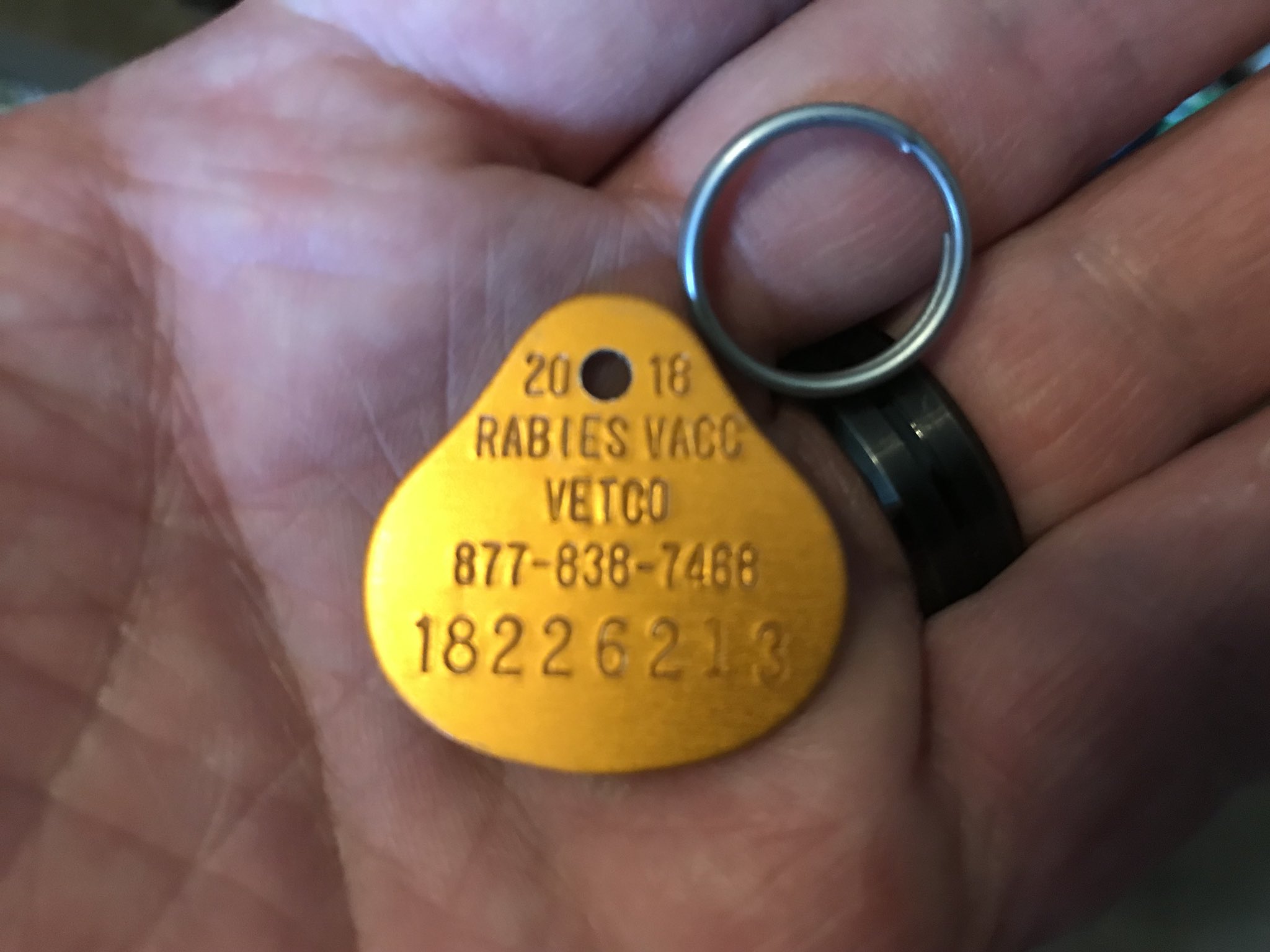 Vetco rabies tag sales