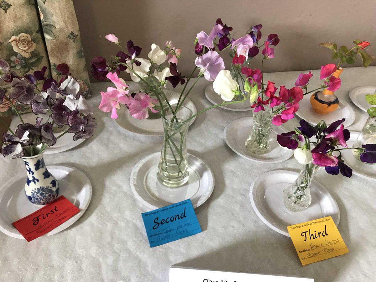 edgeofthemoor's tweet photo. Lovely to spend afternoon at #Throwleigh fete https://t.co/wntoj9nF2e