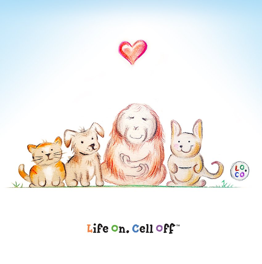 LifeOnCellOff's tweet photo. Happy Saturday! Adopt a furry friend today and any day – Help #CleartheShelters! 🐕🐈Don't forget to watch @janemarielynch Clear the Shelters special on August 24th - check listings. Tomorrow Aug 19th is #WorldOrangutanDay! 🎋 #CaringOn #LifeOn #LoCotheKangaroo #LifeOnCellOff https://t.co/GDnsf96j4y