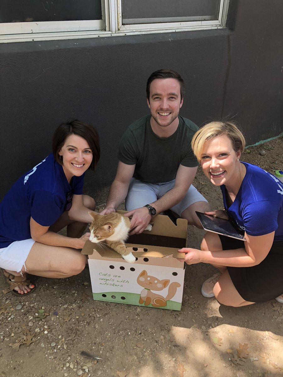 Banana Pudding 🍌 is busting outta this box and this shelter @austinpetsalive and heading to his forever home. 🐈 Congrats to Steve who found the perfect older cat he was looking for! #ClearTheShelters