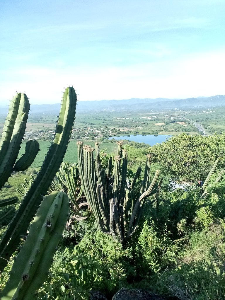 Guirnalda18's tweet image. Como lo dijo @Chigolin_ estudie, viví y disfrute el lugar. Puff que bello mirador Jonacatepec Mor.
@YODEBUENAS @DeTripconMiguel 
#runner 
#YoElegíCorrer un sabadito alegre
@SumandoKMx @LoveRunSmile #LoQueVeoMientrasCorro  👌🏼🎶👟