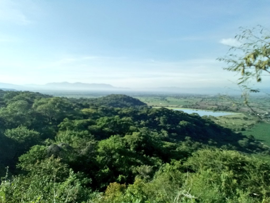 Guirnalda18's tweet image. Como lo dijo @Chigolin_ estudie, viví y disfrute el lugar. Puff que bello mirador Jonacatepec Mor.
@YODEBUENAS @DeTripconMiguel 
#runner 
#YoElegíCorrer un sabadito alegre
@SumandoKMx @LoveRunSmile #LoQueVeoMientrasCorro  👌🏼🎶👟