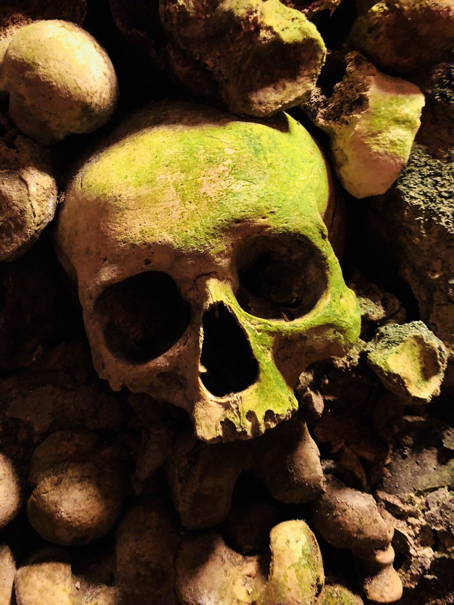 markemers0n's tweet photo. #Paris #Catacombs - the only thing to fear is the queue. Interesting #ossuary. https://t.co/ZXFVCMB2zH