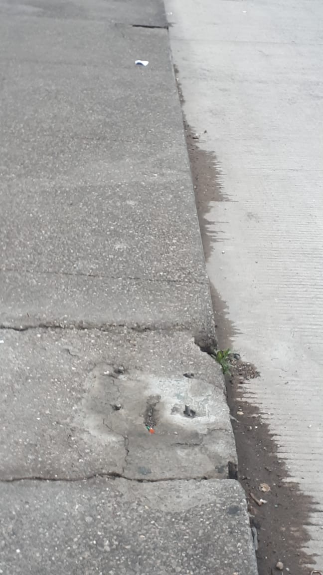 p1chagoya's tweet photo. Meses de reportes en Lago Zúrich ¿quien resuelve? @MHcesac
@davidrola07 @AGUCDMX
@GobCDMX @amievajoserra 

#Nomasfolios
#LagoZurich https://t.co/bPmLMHvo4e