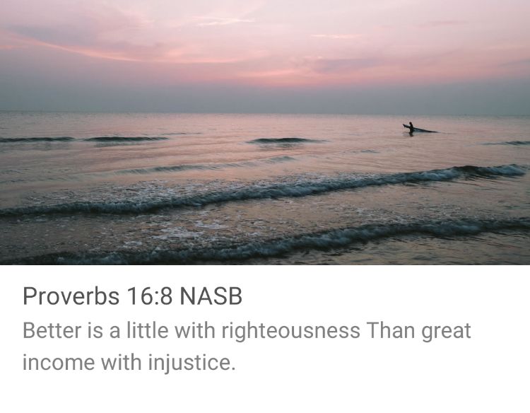 Sally Riddle tweet media