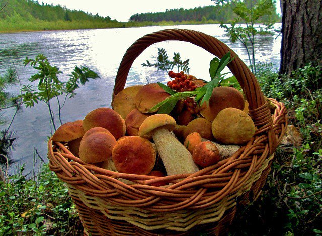 Dk5DmYQWsAAZvo7.jpg:large