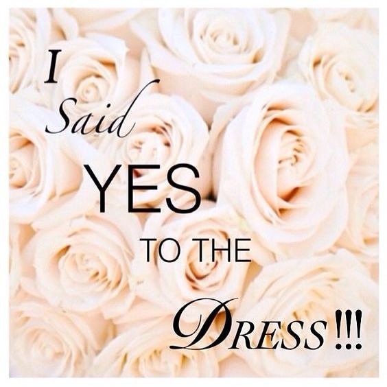 Sapphistar's tweet photo. Picked my wedding dress today!! Exciting!!!!!! ❤️💍🎉

#bride #bridetobe #yestothedress #weddingdress https://t.co/8ZblPXF4zJ