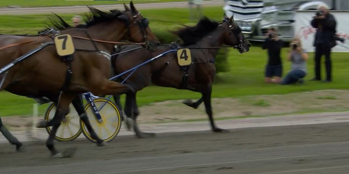 Joe_Zagari's tweet photo. #Volstead 🇺🇸 #CantabHall won #GävleStoraPris 🇸🇪 #Gulddivisionen @Gavletravet with #OrjanKihlstrom & @stefan_melander ⏱️1.12.6 on 2640 over #SpeedDelicious and #MindyourvalueWF https://t.co/j4BIa2zVCQ