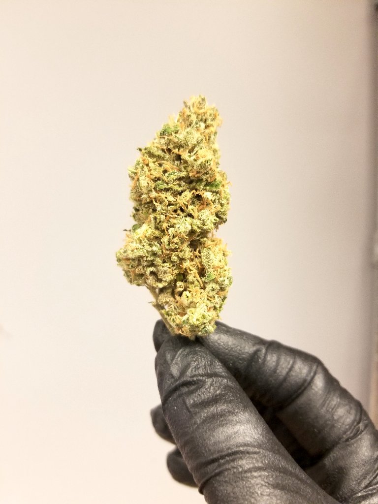 Wake and bake, anyone? 🙌 
.
.
.
#azmmj #mmj #azcannabis #azmarijuana #azdispensary #prop203 #prop203az #prop203patient #420az #getlifted #hightimes  #medicalmarijuana #medicalcannabis #cannabisculture #medicated #arizona #asu #scottsdale #tempe