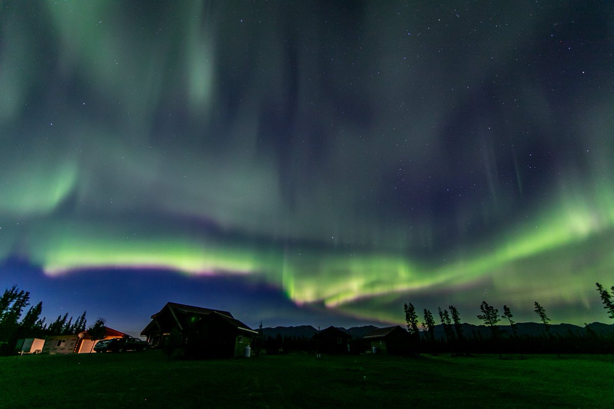 norlightsyukon's tweet photo. This season is really starting great! Left the camera outside shooting for a time lapse video and went to bed. Here a few photos what the camera picked up during the night. The video will be posted in the next days. https://t.co/DTyuUDSO6x