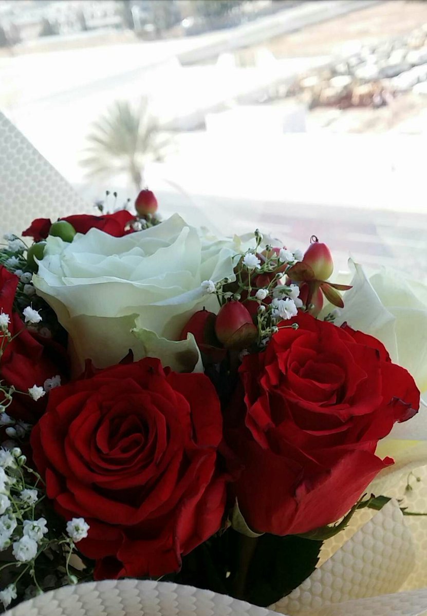 دايم أقـۅل المساء في طلتك غـير
حـتۍ مسـاء الخـير منـك عجيــبة

فيها مطر … ۅألوان طيـف ۅنۅاۅير
ۅأحساس راقـي ۅأبتسامة ۅطــيبة