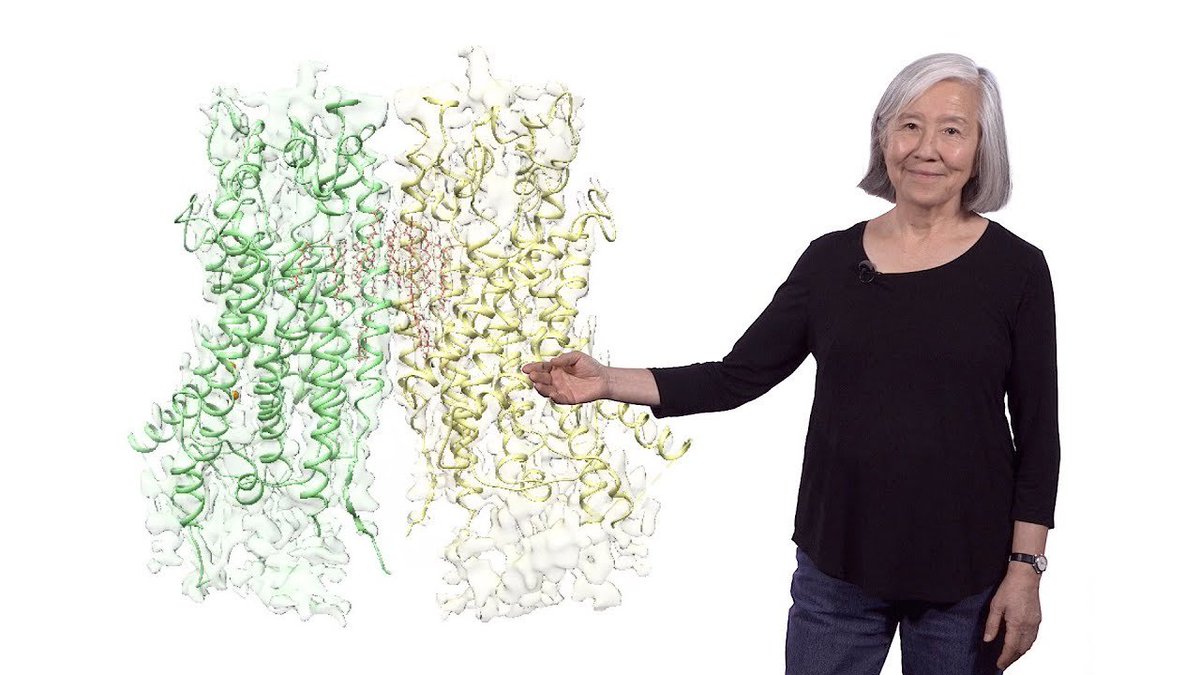 HealthCICUK's tweet photo. Lily Jan (UCSF / HHMI) 2: Calcium-Activated Chloride Channel (CaCC) 
 https://t.co/ne9Kw9o0T4 https://t.co/axmnWyfAw7