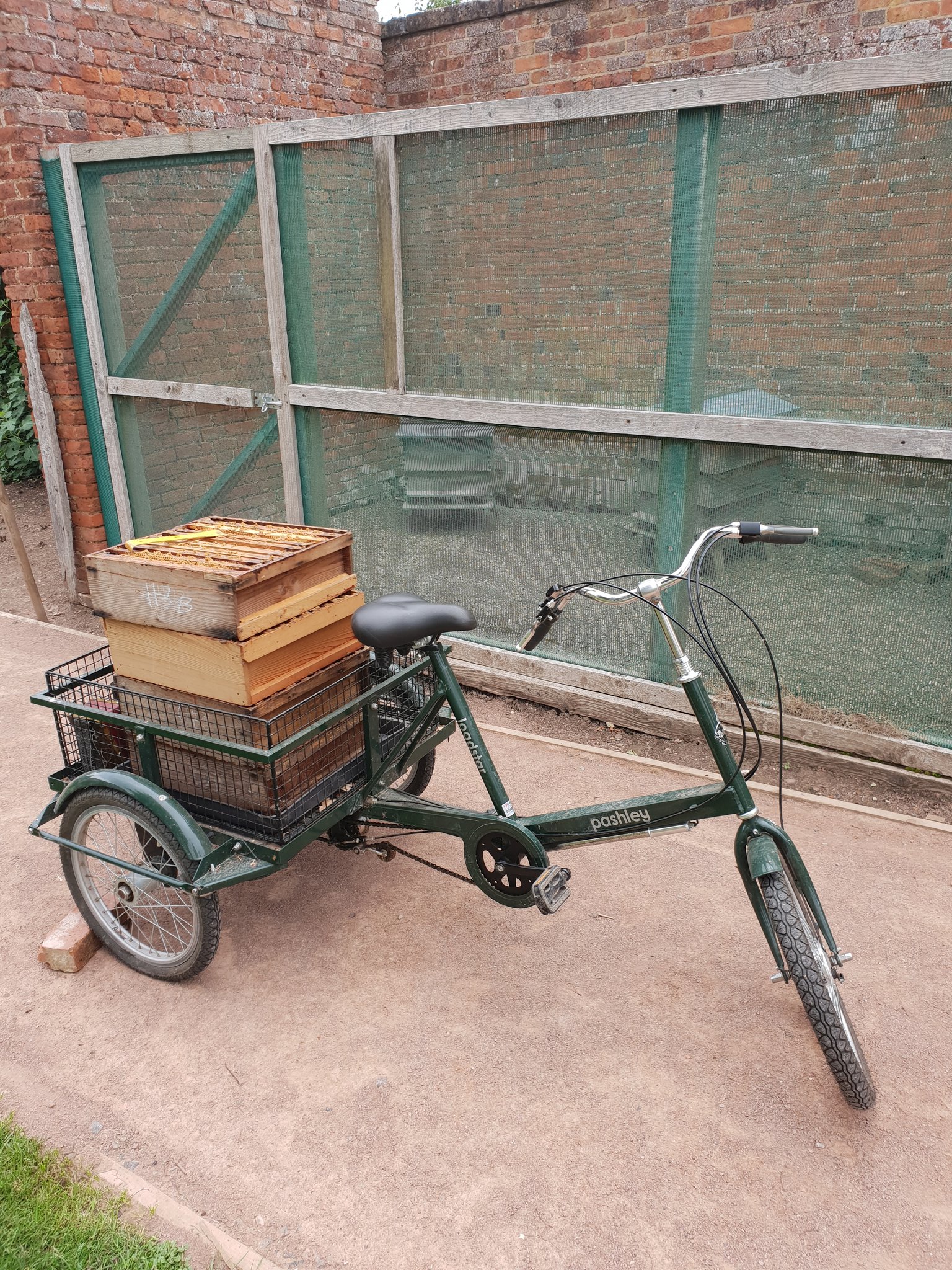 pashley loadstar tricycle