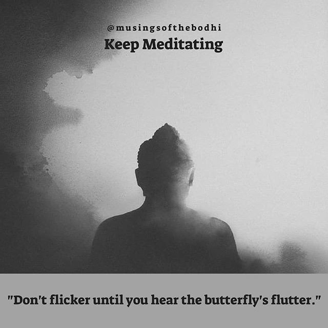 bluebeyondbooks's tweet photo. Reposting @musingsofthebodhi: - via @Crowdfire
Keep meditating...
.
.
.
.
.
#byme #quotes #textquotes #spirituality #yogini #yogi #bodhi #musings #musingsofthebodhi #yogiquotes #yoginis #yogisofinstagram #igyogi #bodhisattva #igyogini #writes #igquotes #spiritualityquotes https://t.co/7RlRSCQA4C