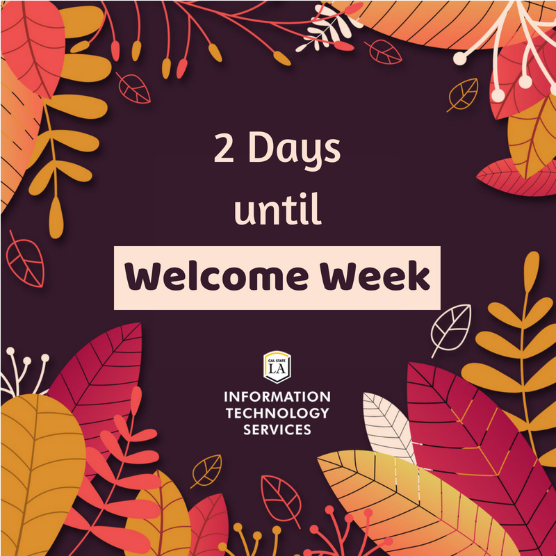 MyCalStateLA's tweet photo. 2 more days until #ITSWelcomeWeek. Stop by #ITS booth on the main walkway next week M 8/20 - Th 8/23 for giveaways and info about #ITS services. #CalStateLA #ITS #MYCalStateLA https://t.co/2pBBaLDb0s
