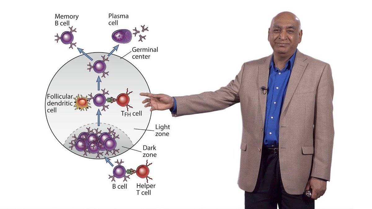 Shiv Pillai (Harvard) 3: IgG4-Related Disease: Collaboration Betwee 
 youtube.com/watch?v=Y1D5Ii…