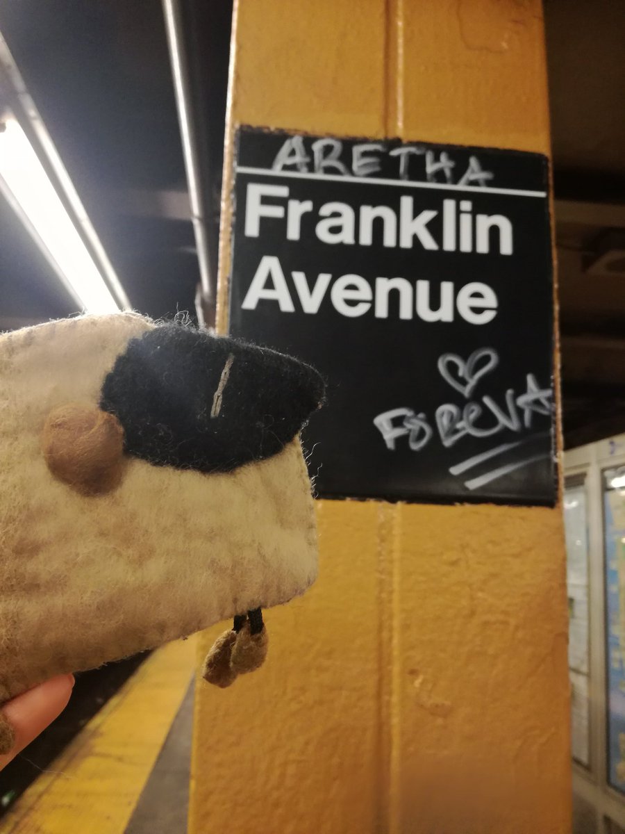 BoreEnAzul's tweet photo. #ArethaFranklin
#NYCity #SubwayNY #MYmta https://t.co/g5ZU96hl7J