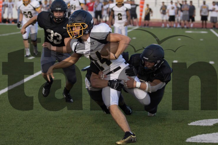 blakemichels_'s tweet photo. We don’t like quaterbacks #bullsharks https://t.co/OgFDIaI2BF