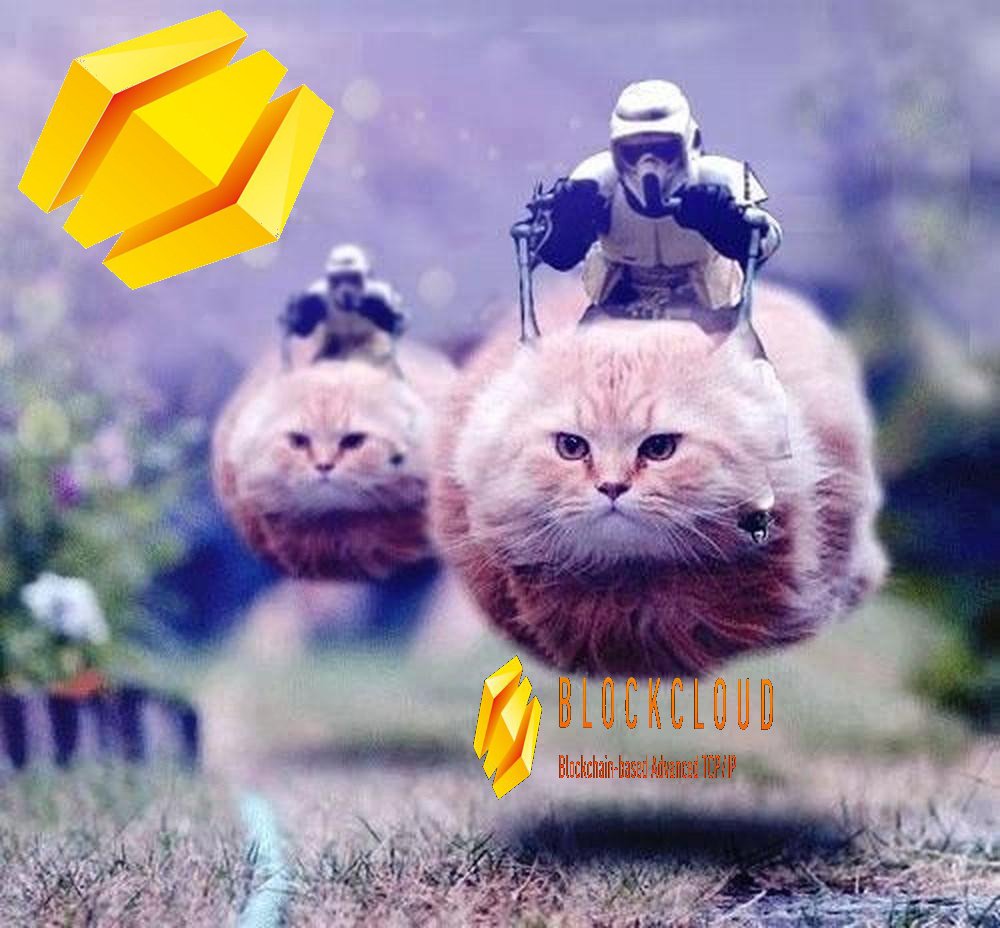 #BlockcloudTotheMoon  Providing Constant Connectivity for Dynamic Networks! <3 <a href="/BlockcloudTeam/">BlockCloud</a>