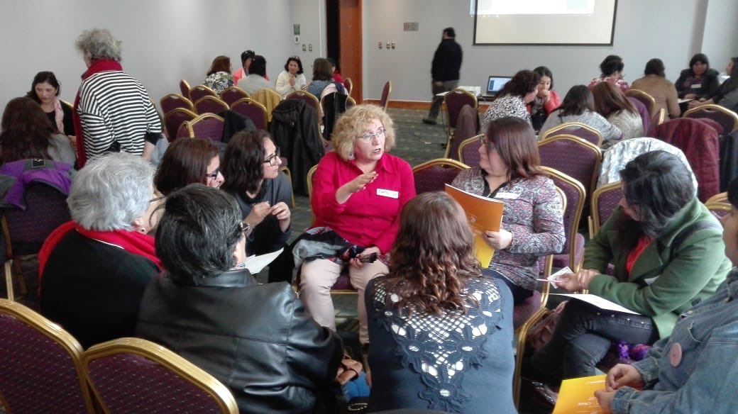 Las mujeres de La Araucanía, nos ponemos objetivos, acciones y nos damos organización con <a href="/rivashanson/">Ximena Rivas</a>