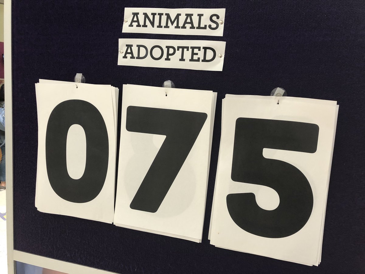 NEHumaneSociety's tweet photo. 75 animals in almost 4 hours! That’s amazing! #CleartheShelters https://t.co/exV7VnasEd