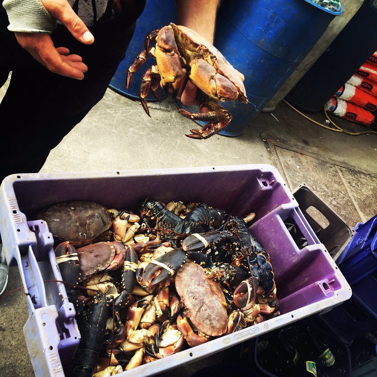 #annagassan #boattobox 😋#localseafood #seafood #louthchat #FleadhCheoil2018 @ShaneRaftery @louthcoco @JPMcMahon