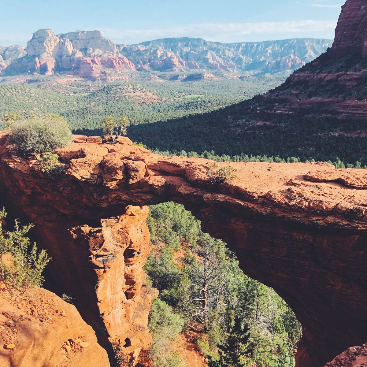 NAUAlumni's tweet photo. There is no doubt that Arizona has some of the best views. 😍 #ExploreMore https://t.co/X1rHukUllY
