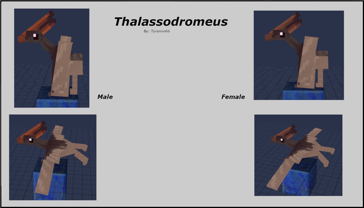 Thalassodromeus preview
