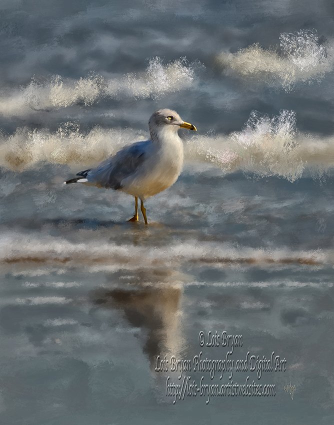 'Seagull By The Seashore'#perfect #art for the #beachcottage or #beachlover or for that #room where you just want to #dream about #summer @FineArtAmerica #seagulls #wildlife #beach #LoisBryanhttps://lois-bryan.pixels.com/featured/seagull-by-the-seashore-lois-bryan.html