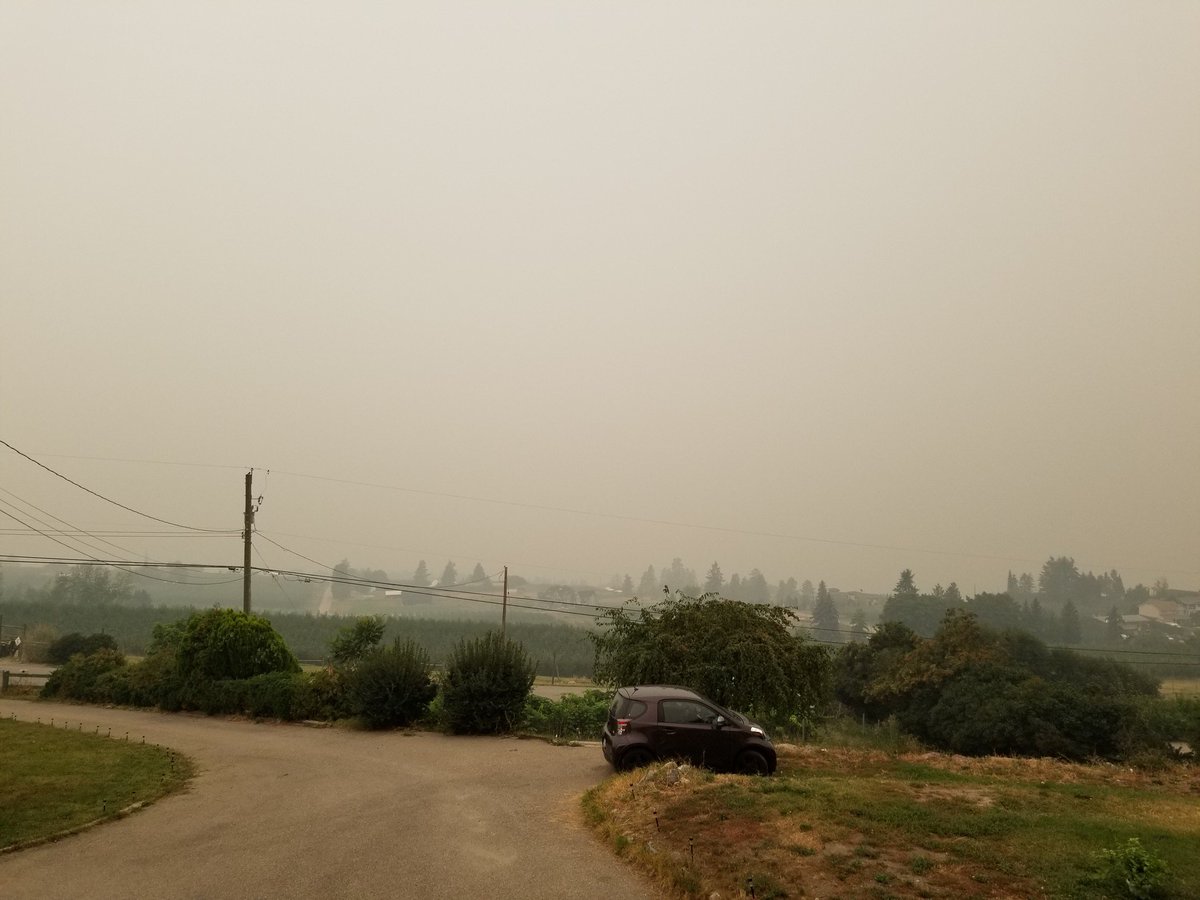 oleumcap's tweet photo. The forest fires in BC are out of control. The picture on the left was taken yesterday at 11am in Kelowna. Took the exact same picture this morning at 11am and I can’t see across the valley. In just 24 hours. Unbelievable! @GlobalCalgary @weatherchannel #airquality #yyc #Kelowna https://t.co/7N7h1VBV3U