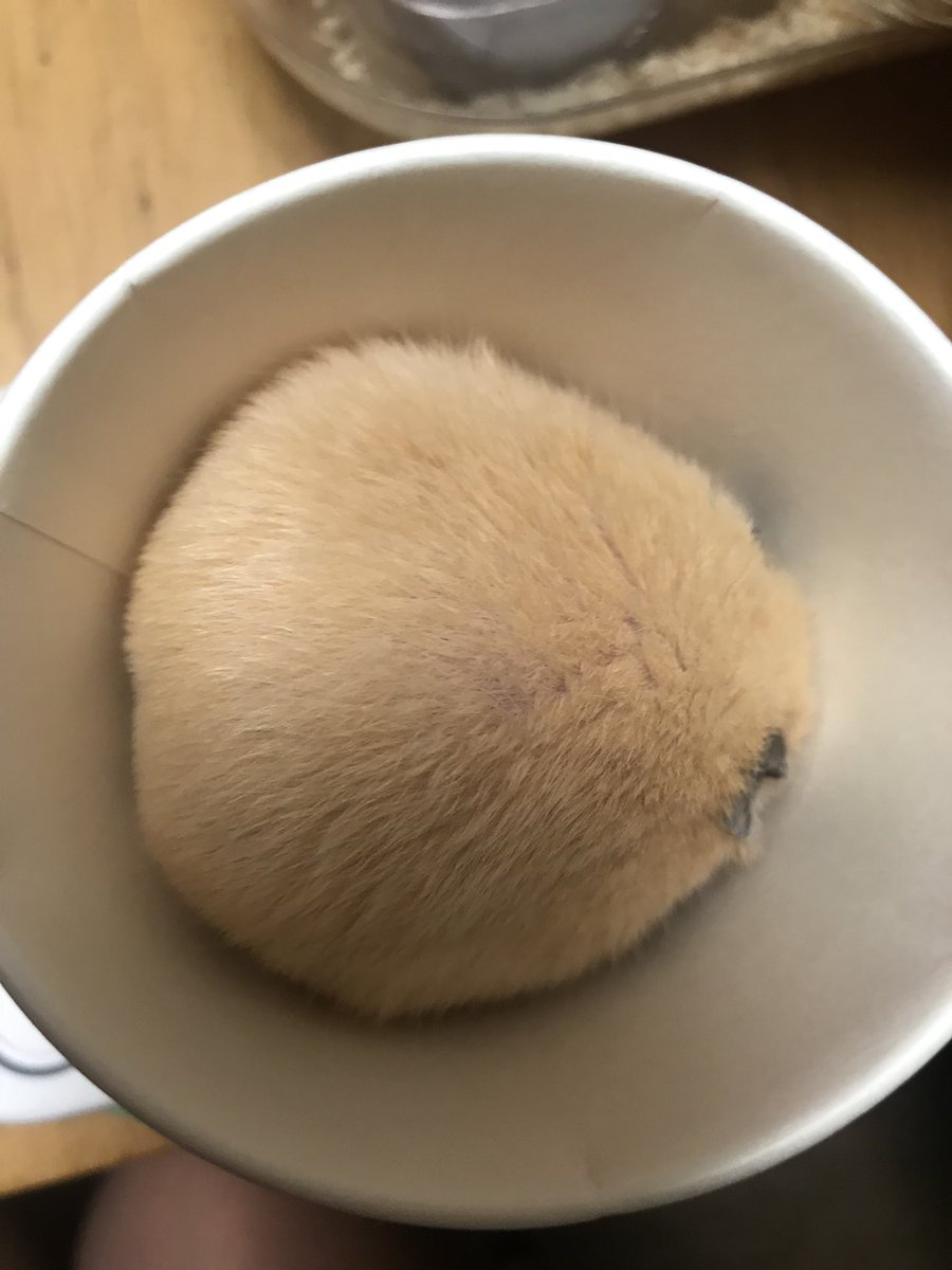 みかもの月 みかもの月