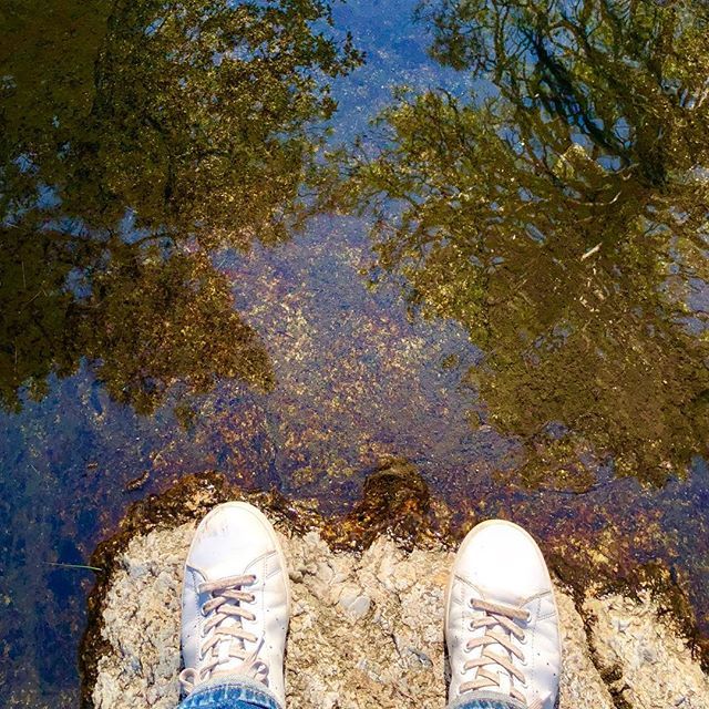 Mark Newhouse tweet media