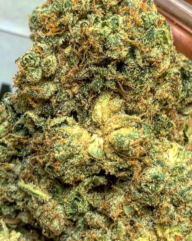 SecretStashMMJ's tweet photo. Get this heavy, dense, beautiful Top Shelf strain in our ALL STRAIN SPECIAL! 2 oz for $150 Spend!! 
Spend more than $99, get a FREE GRAM OF WAX! 
💜Show your budtender this post get yourself a treat! It’s a Secret! 😎 https://t.co/X9Yai3RzaP