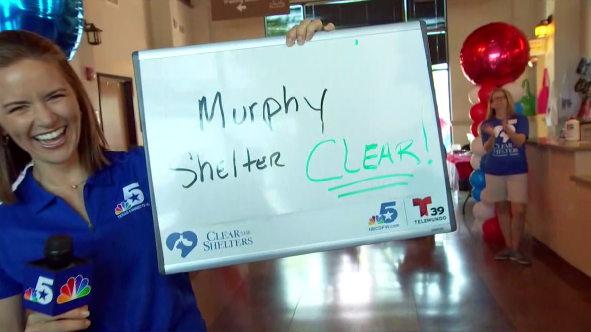 NBCDFW's tweet photo. The first animal shelter of the day is CLEAR!  The Murphy Animal Shelter just announced that every pet in the shelter has been ADOPTED!  Great work North Texas!  Watch live coverage of #ClearTheShelters here --> https://t.co/AVghKkxFij https://t.co/SdCGuO8G3b