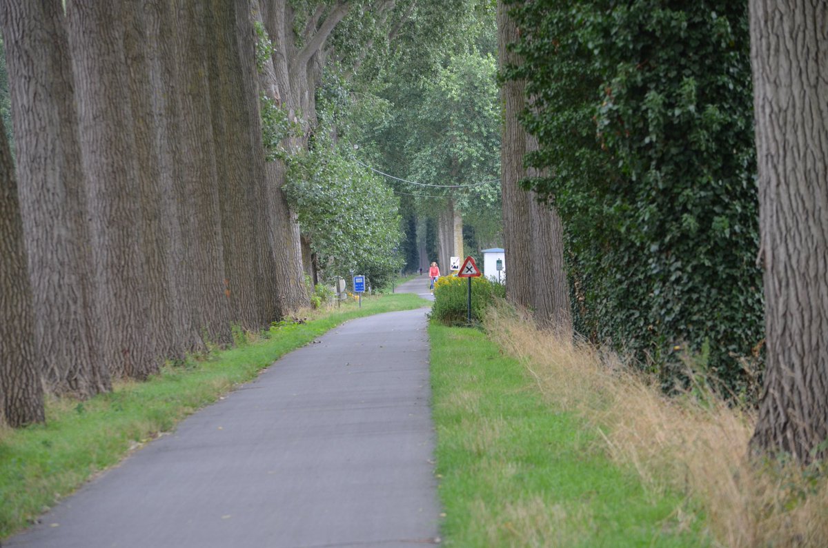 hon_joke's tweet photo. Richting #Moerkerke #schipdonkkanaal #fietsen 🚴♀️🚴♂️ https://t.co/EN5dakM499