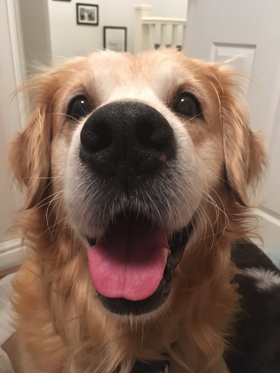 StaceyLMillsWJC's tweet photo. And then there was this. I mean seriously could he be any more perfect?! https://t.co/dBBsDKgmIT