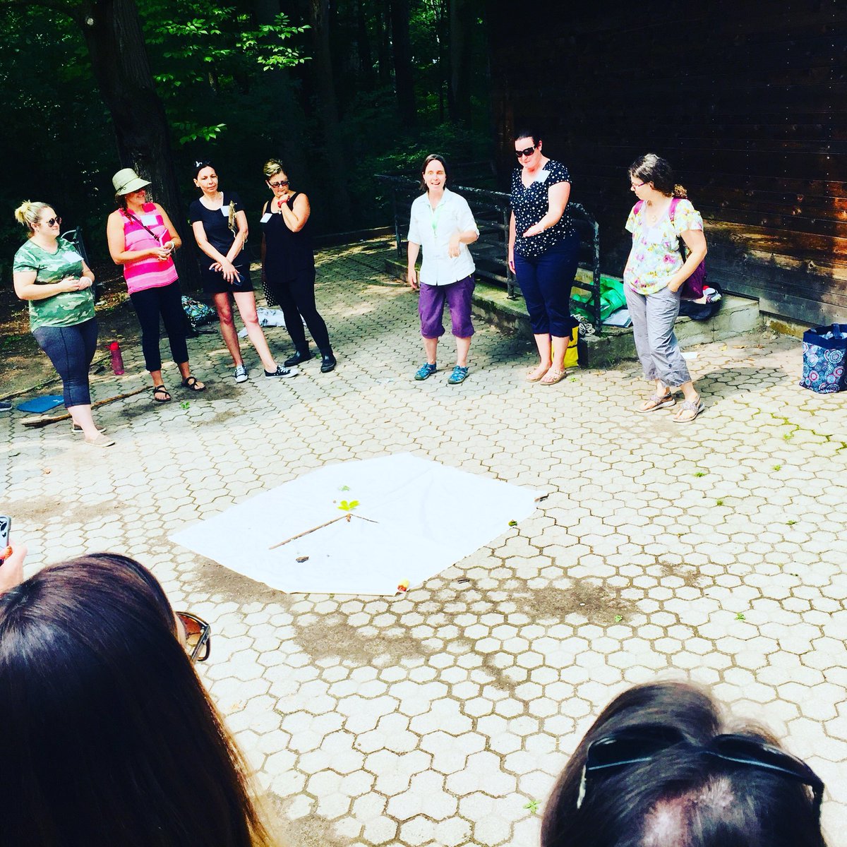 FDKAdventures's tweet photo. Enjoying a day outside with Juliet Robertson @CreativeSTAR thanks to the @YRnature for a wonderful experience and @teamdiabetes11 for a fantastic day! #tldsbkinderland #tldsblearns #earlyyears #forestschool #tldsbmath #tldsbkteach #tldsbklearns #wefeedallfour https://t.co/XFSNlhrWxH