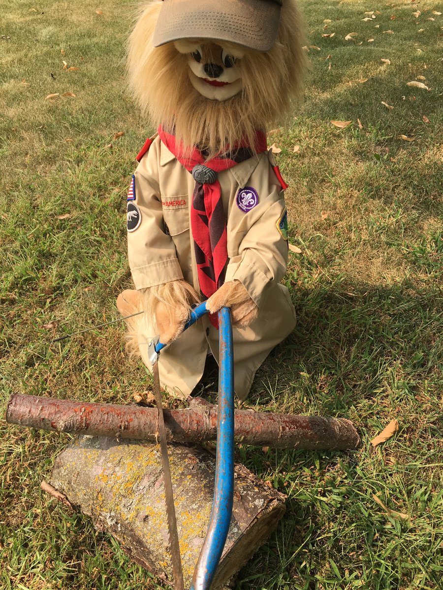 buttonst68's tweet image. I believe that tonight would be an awesome time to sit by the campfire. I also believe that I may need to prepare some fuel.