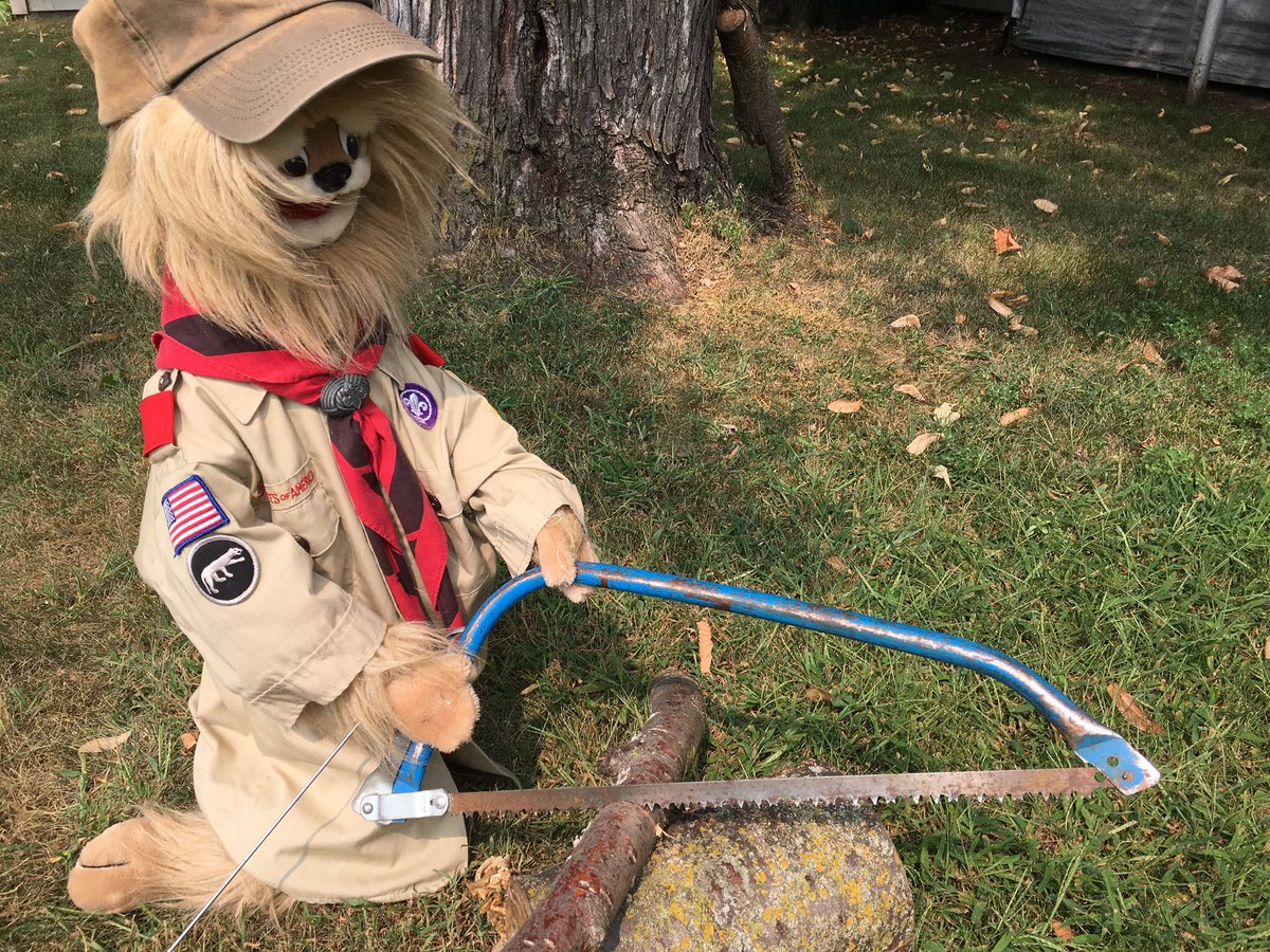 buttonst68's tweet image. I believe that tonight would be an awesome time to sit by the campfire. I also believe that I may need to prepare some fuel.