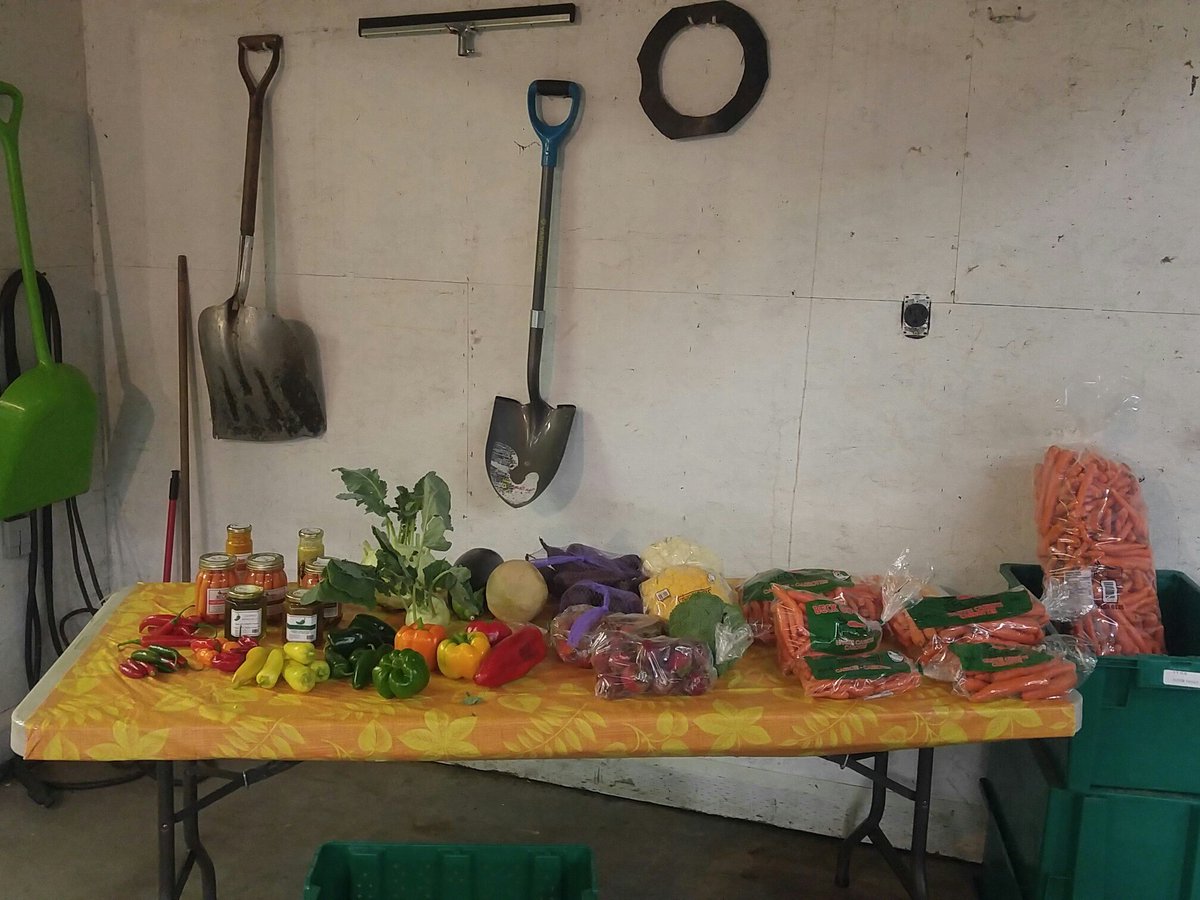 RodMGB's tweet photo. Just some of the crops we grow. #ablocalfoodweek #ABFarmDays # https://t.co/AjTGMIufv3