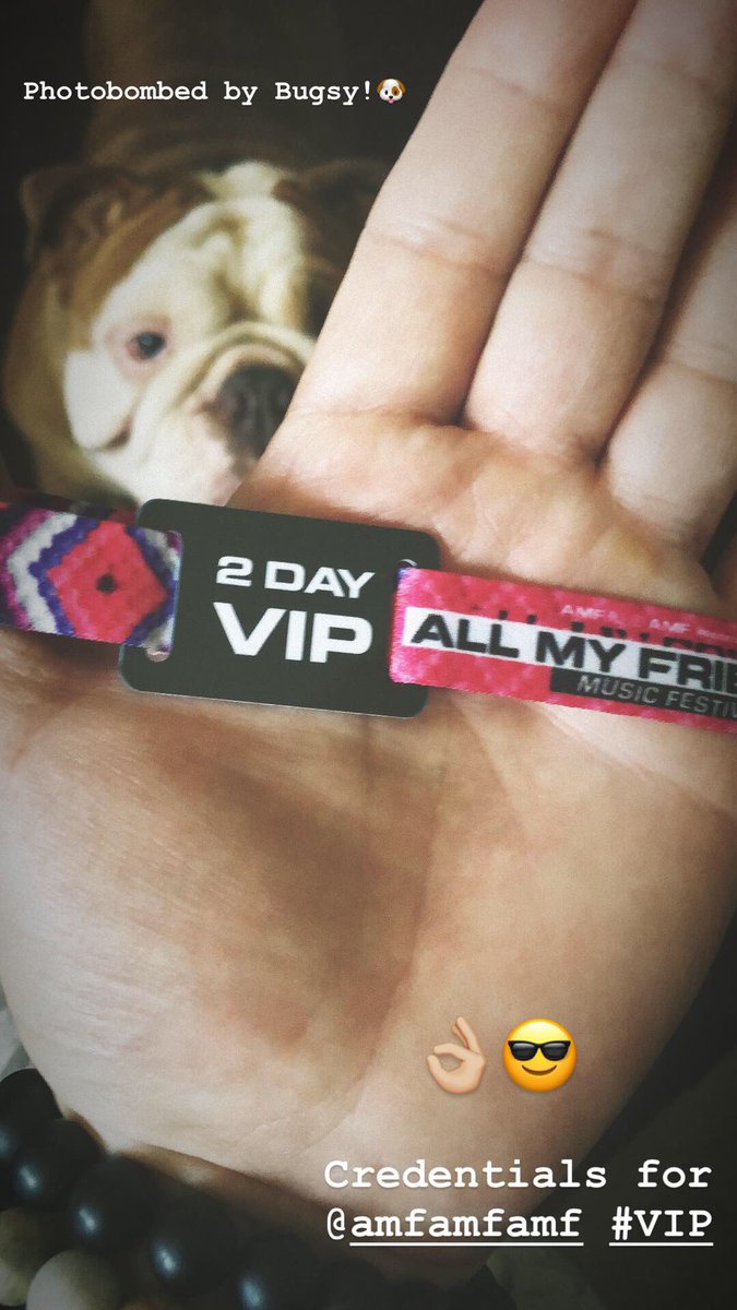 mrgloss's tweet photo. My English Bulldog Bugsy and of course I’m ready for @AMFAMFAMF #Pimpster style 💸💸🎧🙌🏼😎 https://t.co/a6MSrn0y3d
