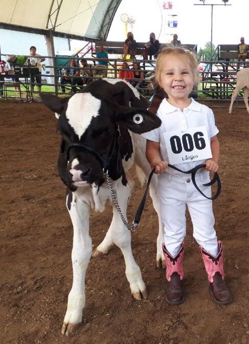 So very proud of my 3 year old granddaughter Ila for participating in her very first Pre 4-H Dairy &amp; Showmanship Class at the South Mountain Fair today!
<a href="/4HOntario/">4-H Ontario</a> <a href="/SM_Fair/">SouthMountainFair</a>