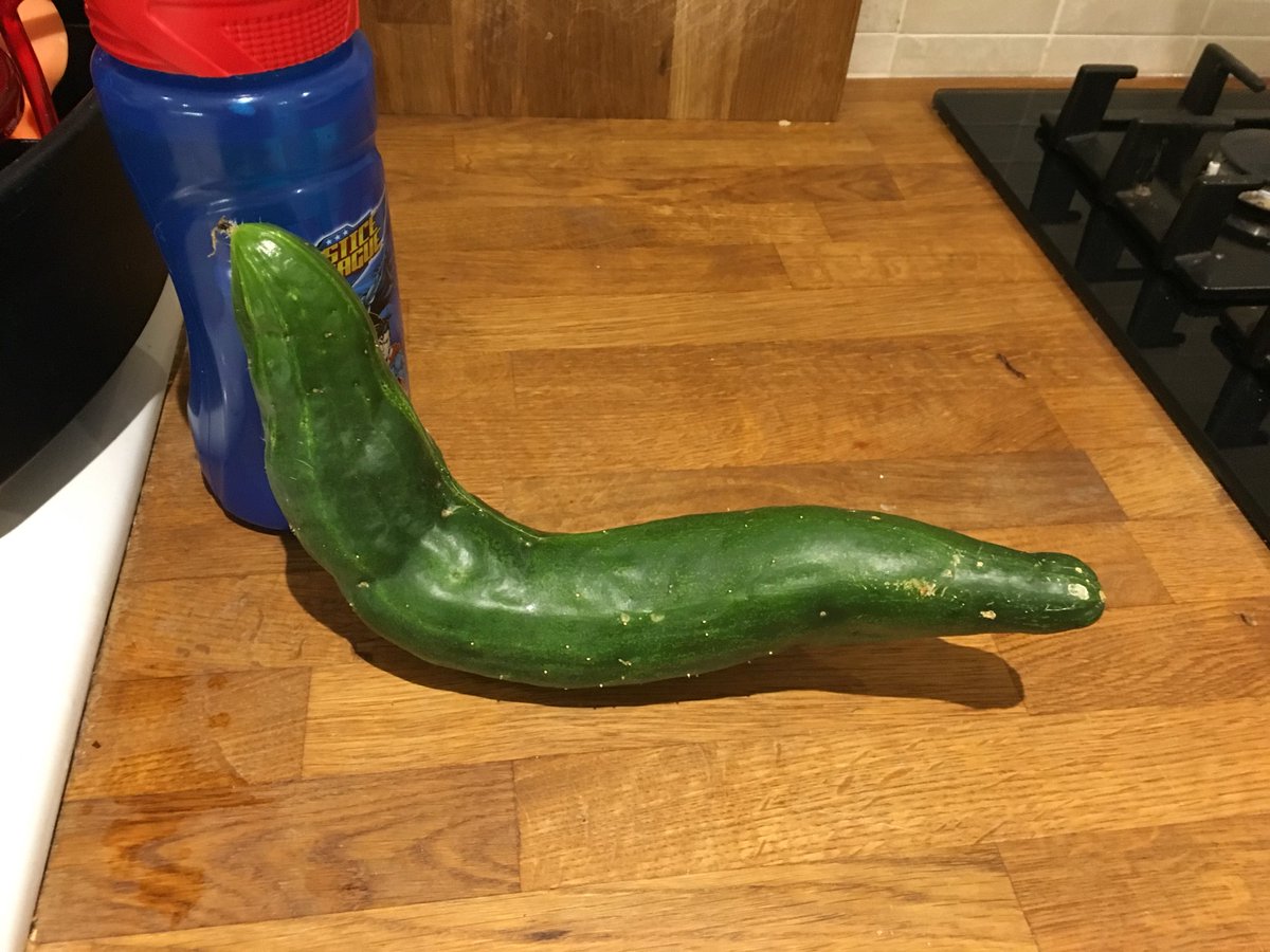 pwauly's tweet photo. My @LoveWilko  Burpless cucumber- can’t get them in @waitrose https://t.co/dzAgdVuf5b