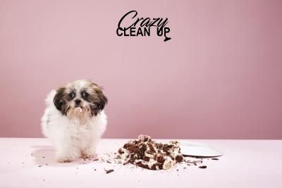 Crazy Clean Up (@crazycleanup) on Twitter photo Today is a #beautiful Saturday #morning are ur carpets nice and ready? Call us today at (951)365-5285 for online information info@crazycleanup.com Today is a #beautiful Saturday #morning are ur carpets nice and ready? Call us today at (951)365-5285 for online information info@crazycleanup.com